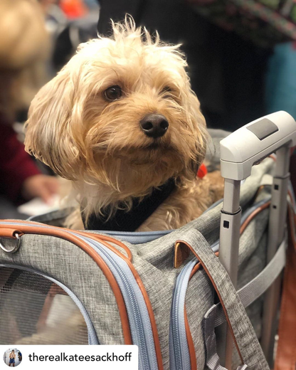 Mr. Peanut's Platinum Series Pet Carrier