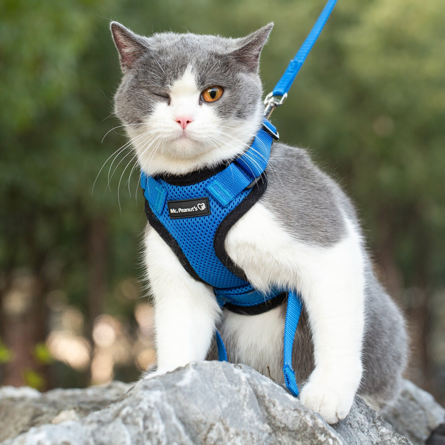 Mr. Peanut's PurrTrek Reflective Cat Harness with Leash