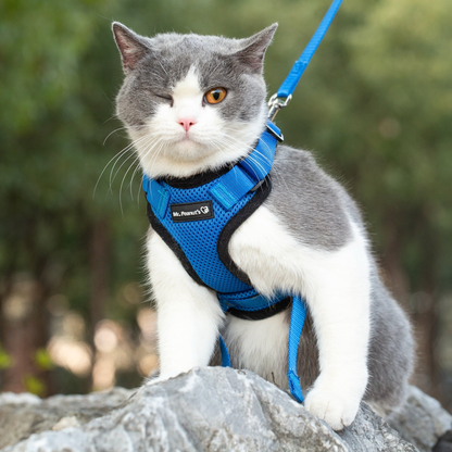 Mr. Peanut's PurrTrek Reflective Cat Harness with Leash