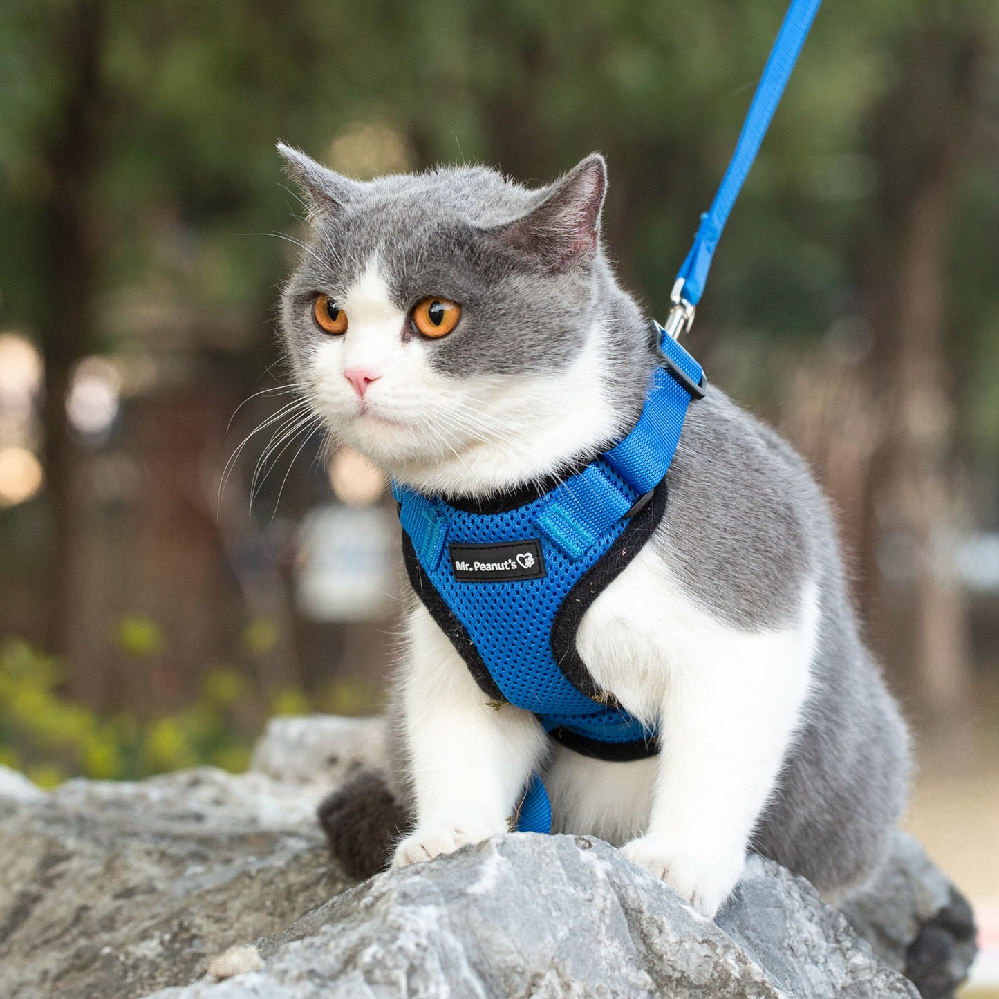 Mr. Peanut's PurrTrek Reflective Cat Harness with Leash