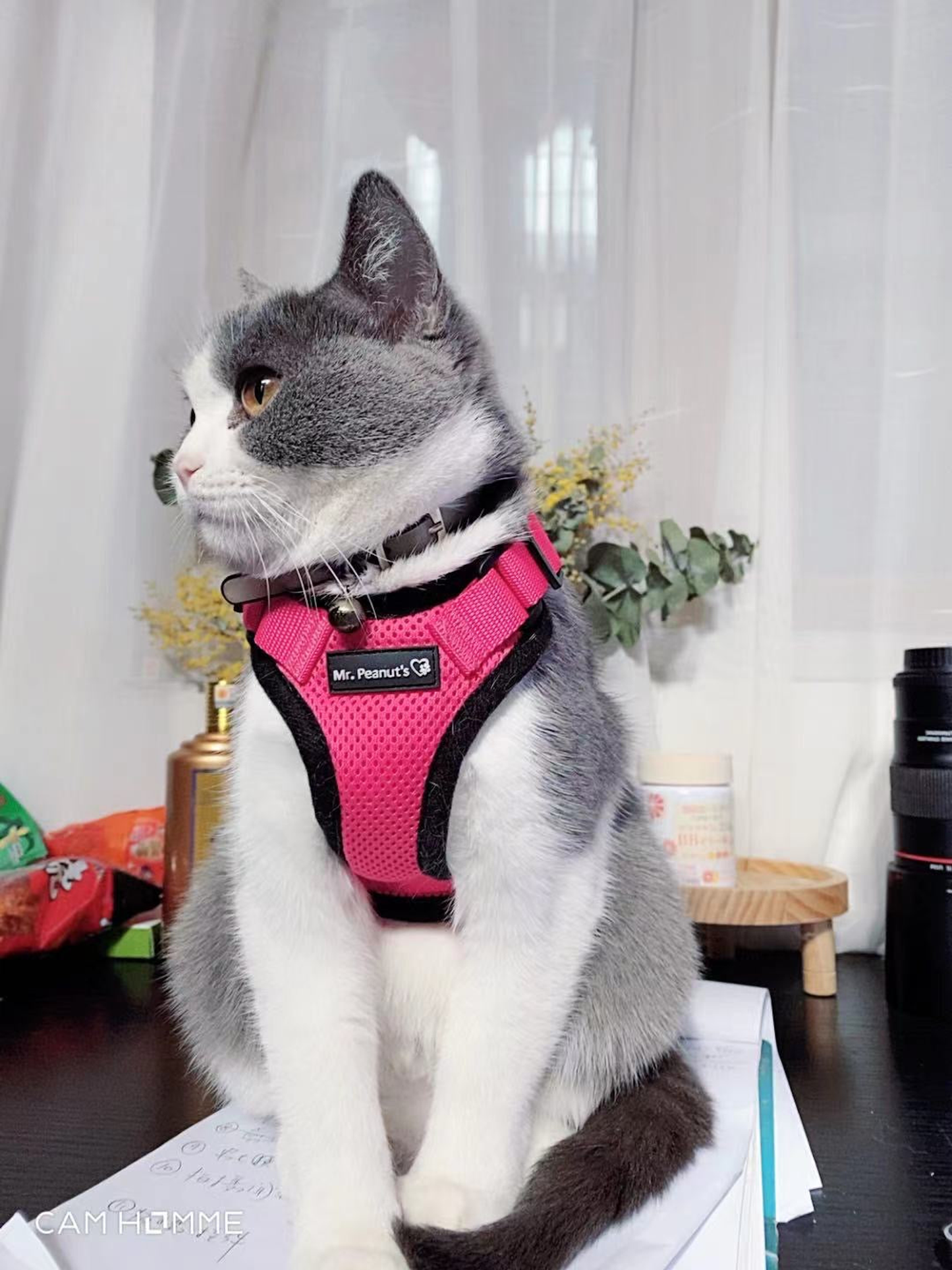Mr. Peanut's PurrTrek Reflective Cat Harness with Leash