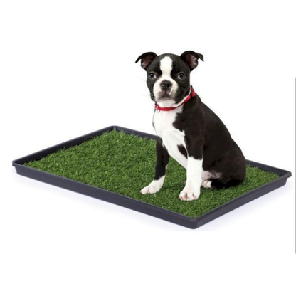 Mr. Peanut's Potty Place Artificial Grass Puppy Pad