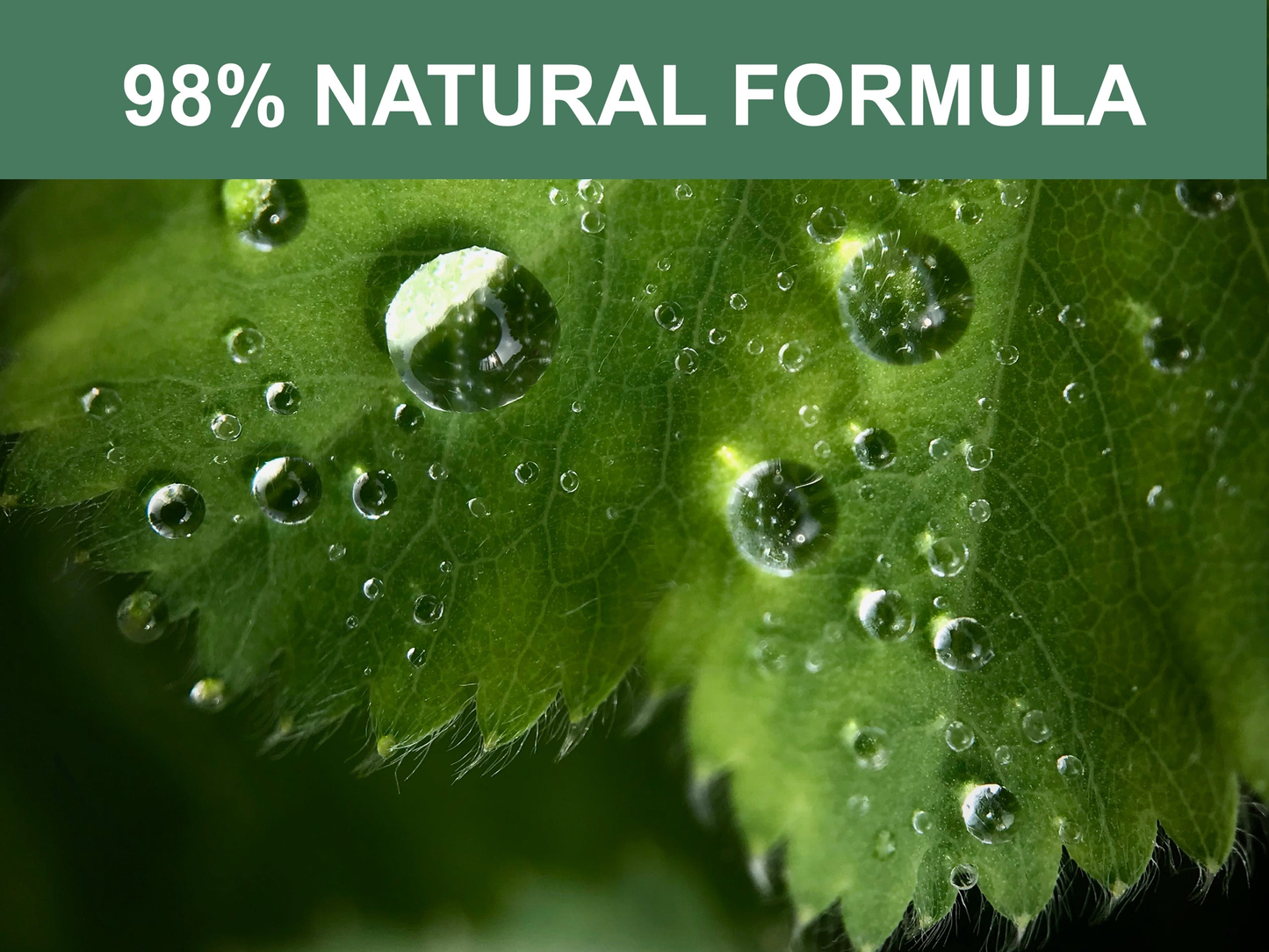 Mr. Peanut's Naturals 5-in-1 Organic Dog Shampoo & Conditioner