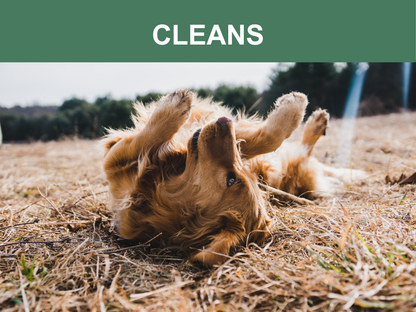 Mr. Peanut's Naturals 5-in-1 Organic Dog Shampoo & Conditioner
