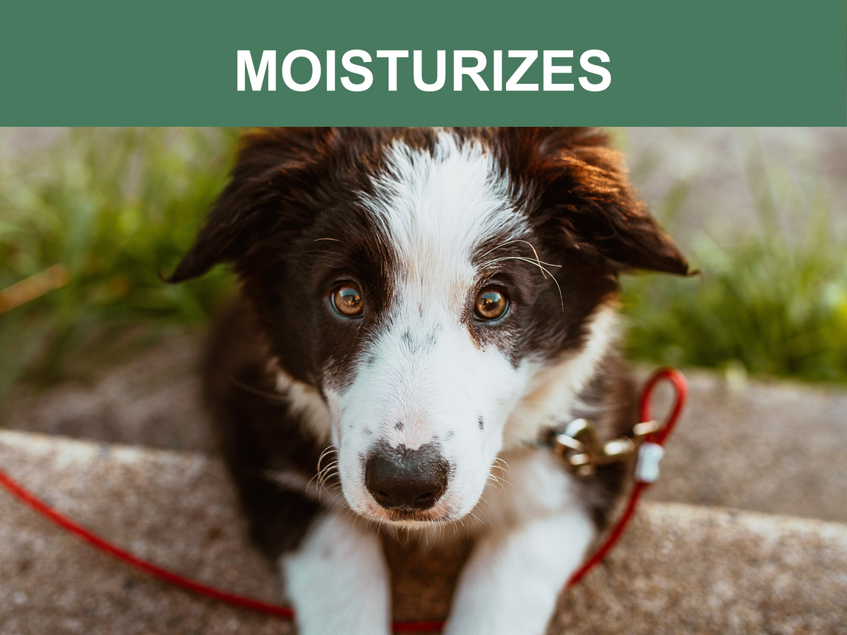 Mr. Peanut's Naturals 5-in-1 Organic Dog Shampoo & Conditioner