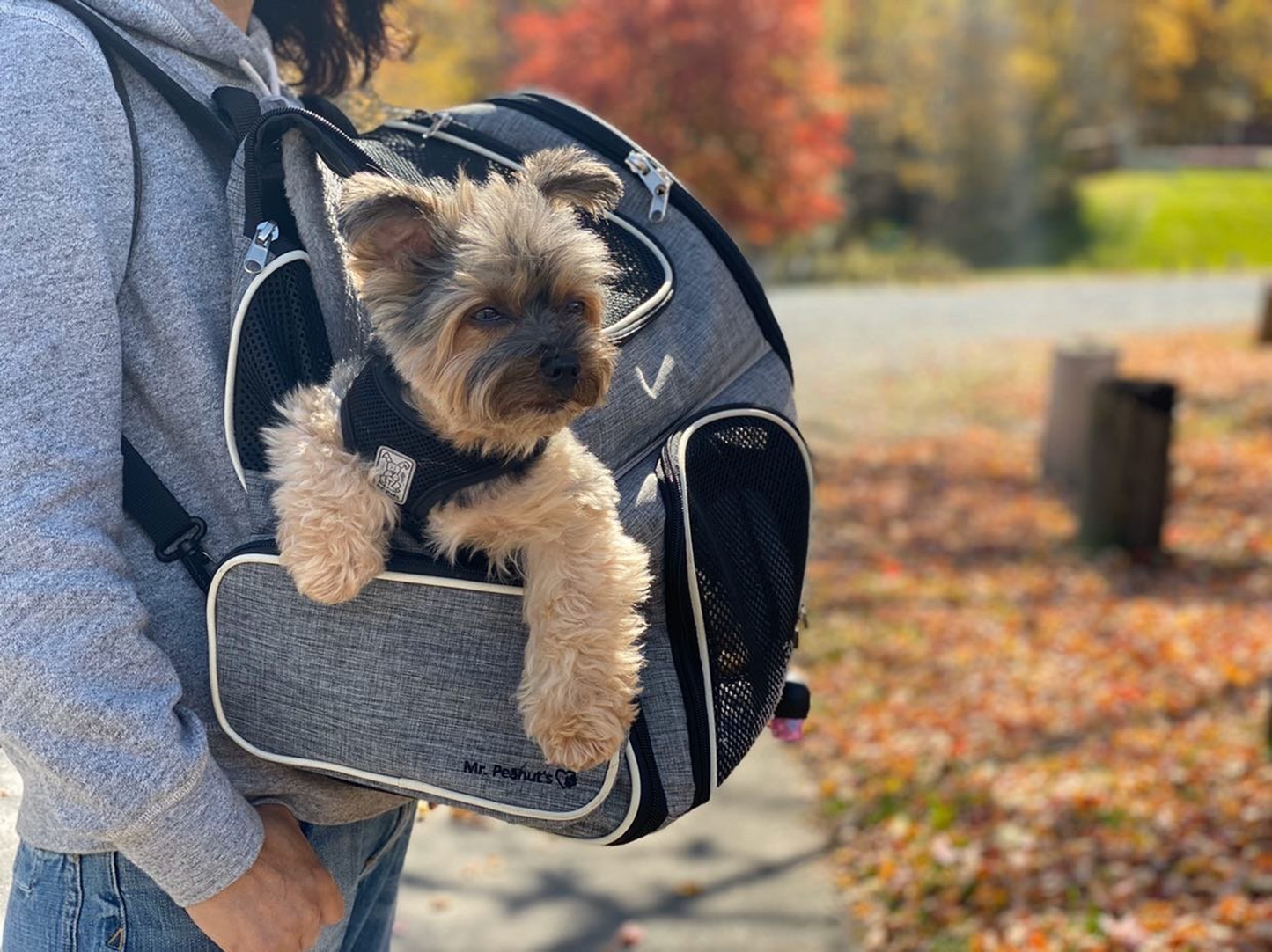 Mr. Peanut's Malibu Series Backpack Pet Carrier Stroller