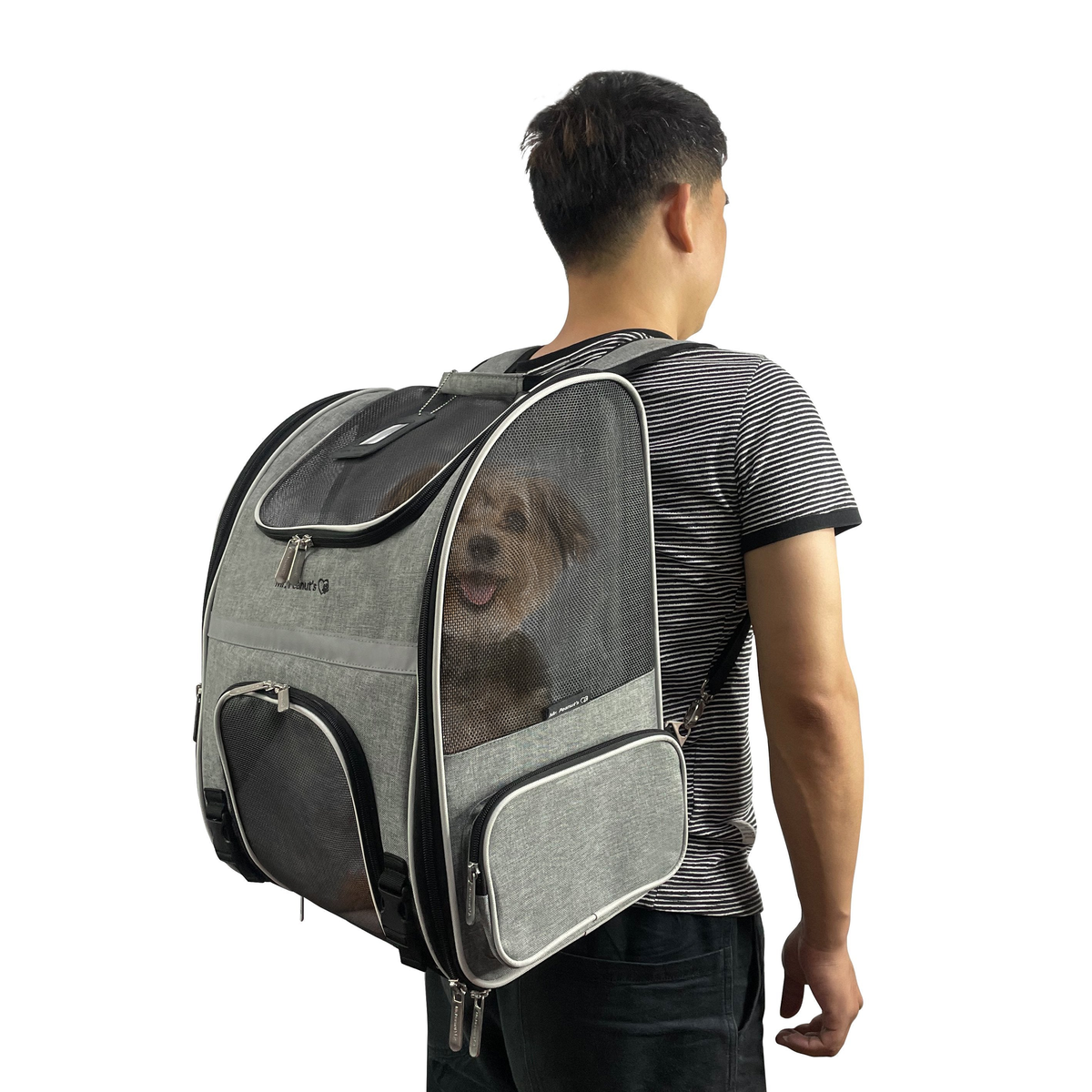 Mr. Peanut's Malibu Series Backpack Pet Carrier Stroller