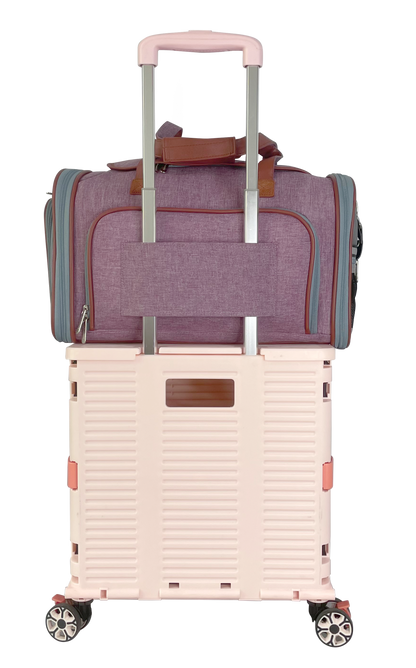 Mr. Peanut's Gold Series Standard Expandable Pet Carrier