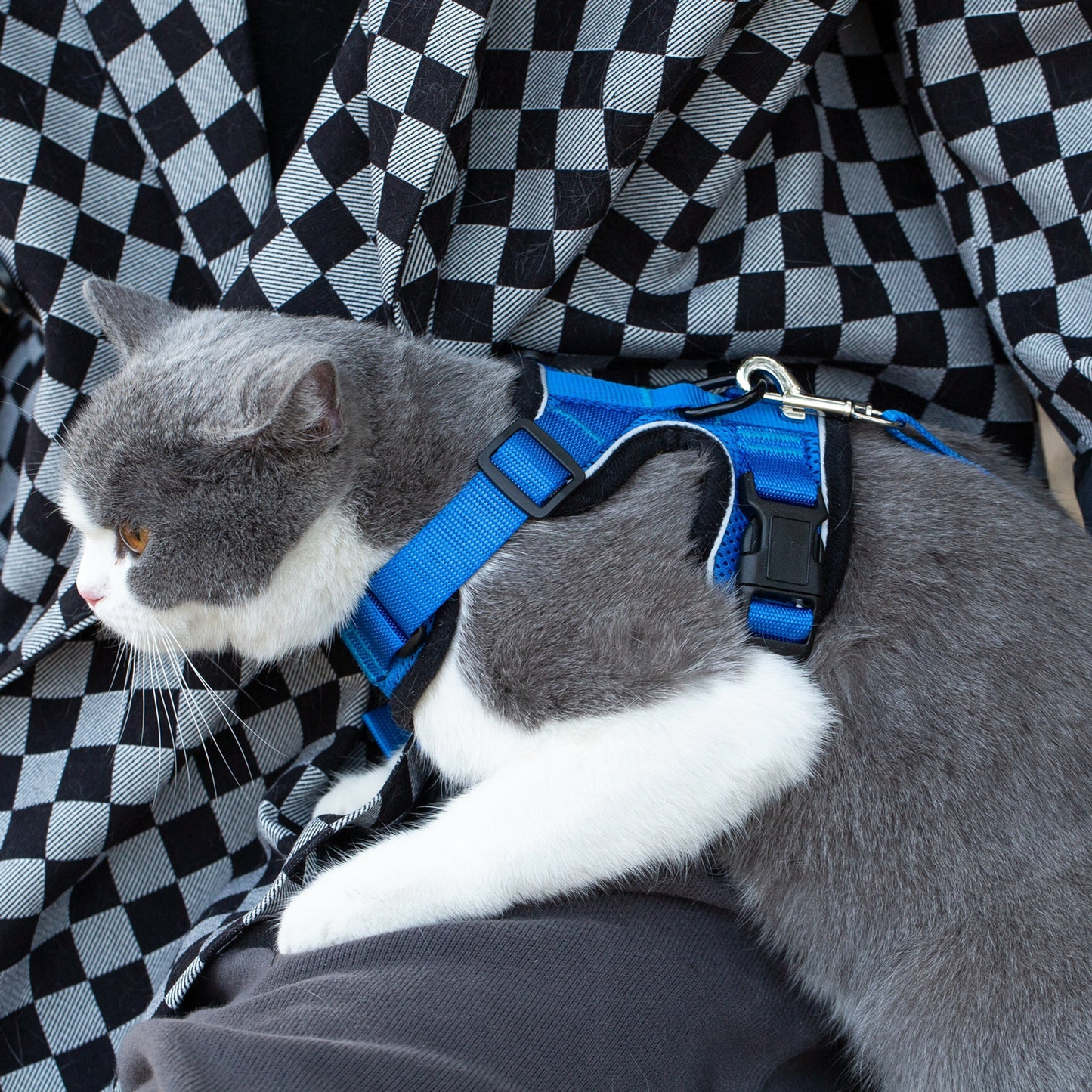 Mr. Peanut's PurrTrek Reflective Cat Harness with Leash