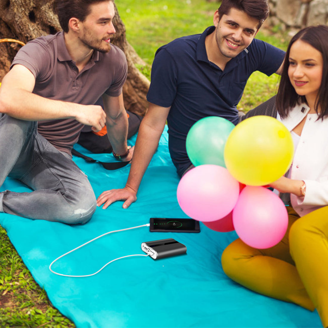 Friends on a picnic charging a phone with the power bank