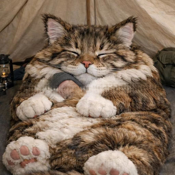 Adult Plush Envelope Sleeping Bag Camping Shelter & Sleep product image 4