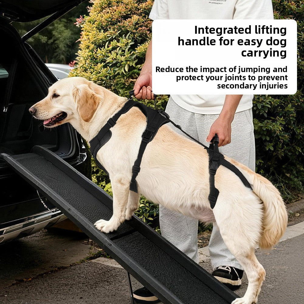 Adjustable pet assist belt