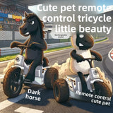 Remote Control Car