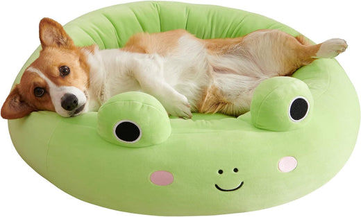 Small dog resting with head propped on the bed's rim