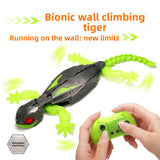 Remote control toy