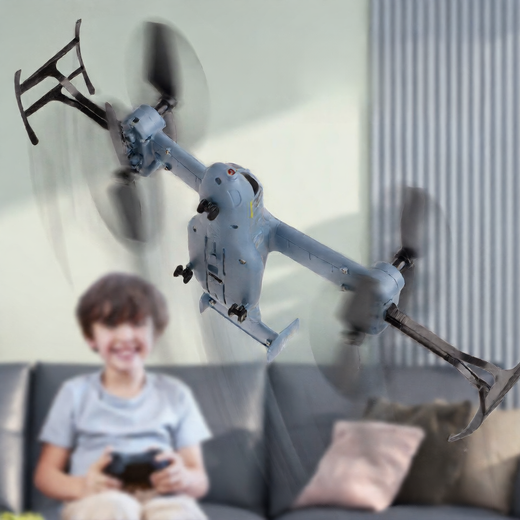 telecontrolled aircraft