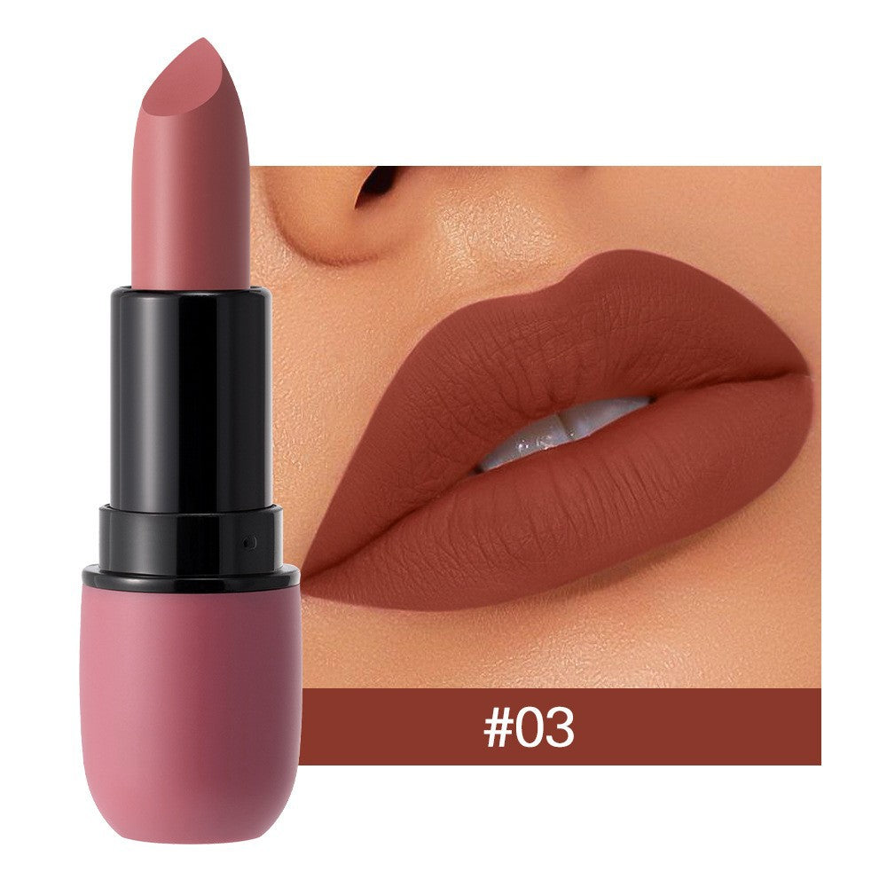 Long Lasting Waterproof Matte Lipstick Set