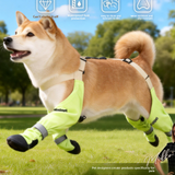 Dog Protective Shoes with Anti-Slip Soles
