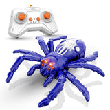 Remote Control Wall Climbing Spider Toy
