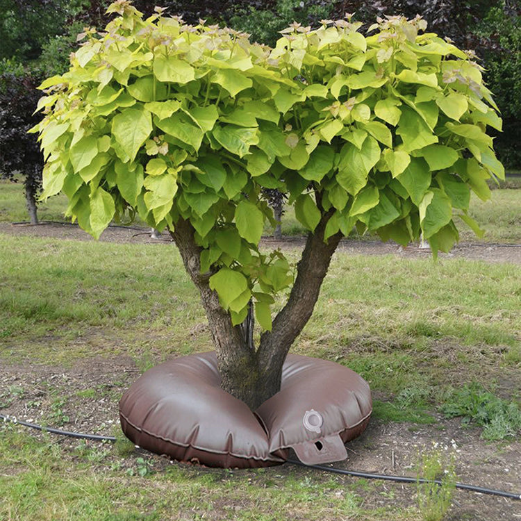 Brown 2-pack slow release tree watering bags wrapped around young tree trunk - feature detail