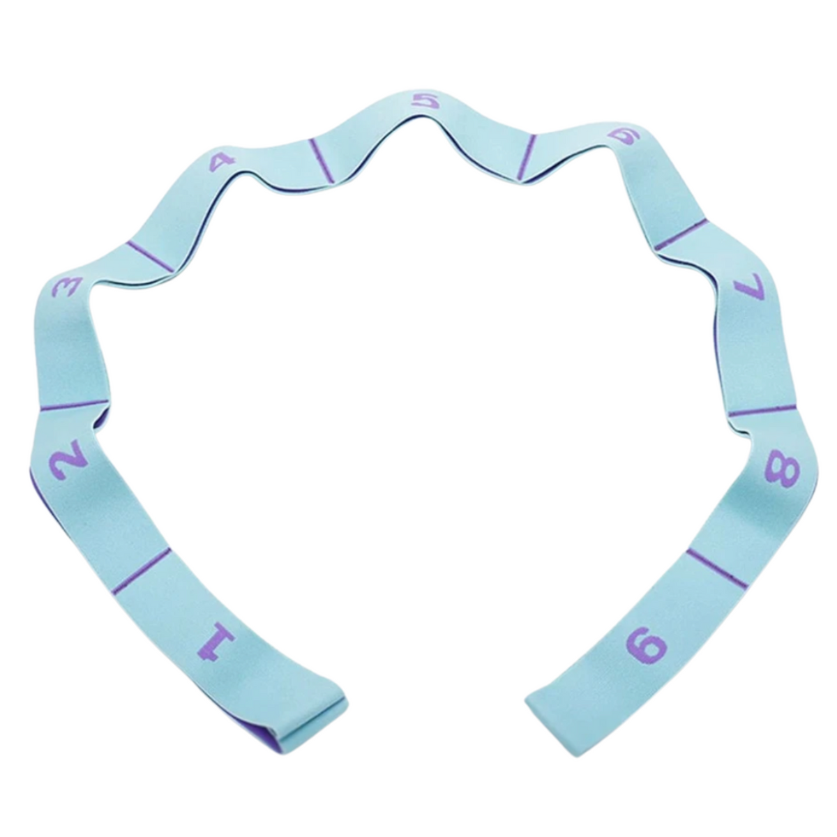 Cocus Pocus Segmented Stretch and Strength Band