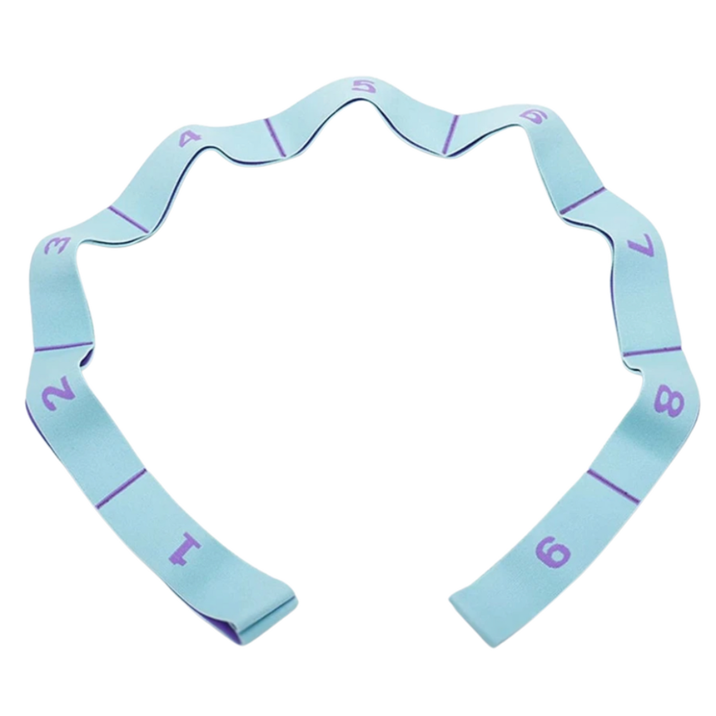 Cocus Pocus Segmented Stretch and Strength Band