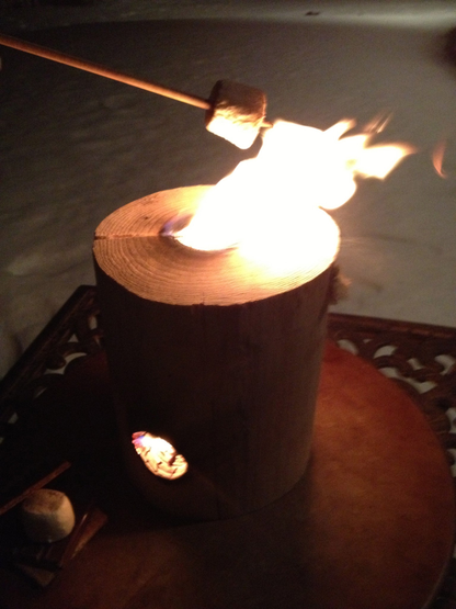 OneLogFire Internet Special Campfire Log