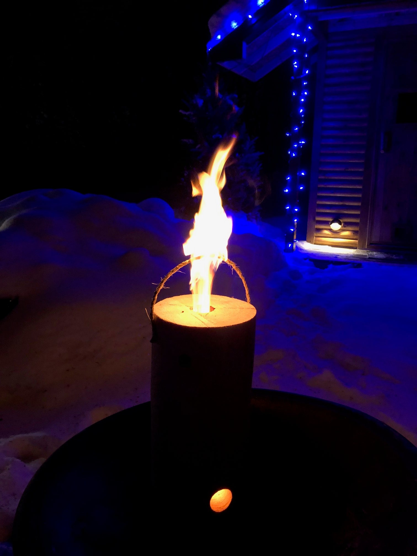 OneLogFire One Big Campfire Log