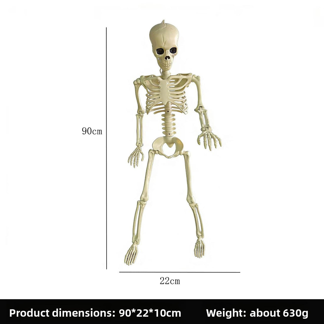 Halloween Horror Skeleton Bones