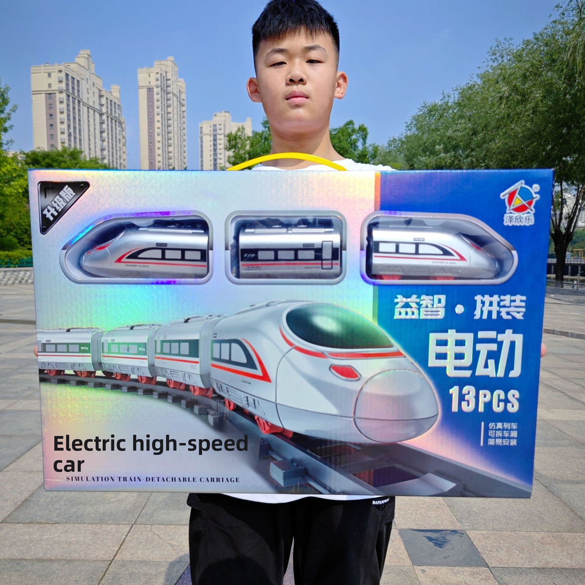 Electric High-Speed Railway Train