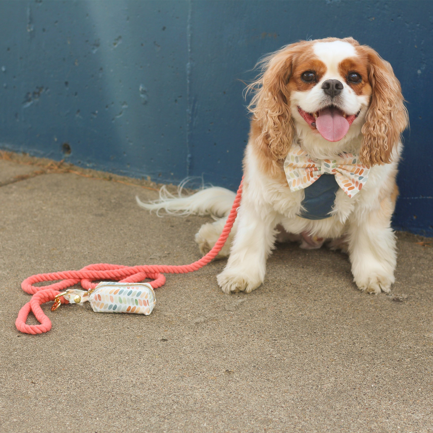 Spiced Coral Rope Dog Leash