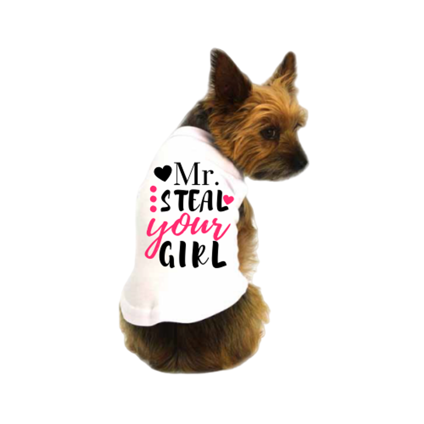 Mr. Steal Your Girl Dog Tee