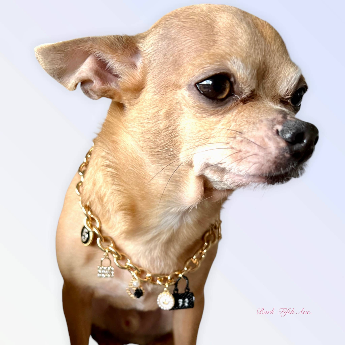 My Dainty Charm Dog Necklace