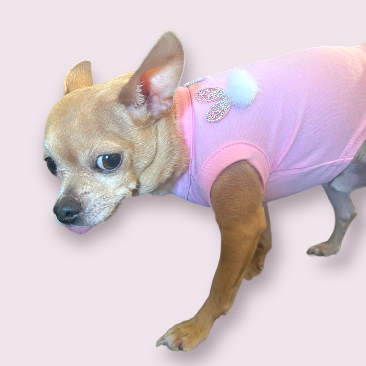 My Fuzzy Easter Bunny Dog Shirt