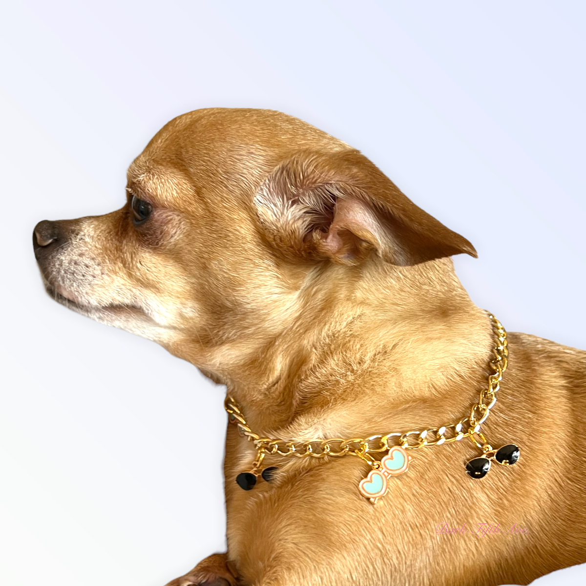 My Summertime Aviator Charm Dog Necklace