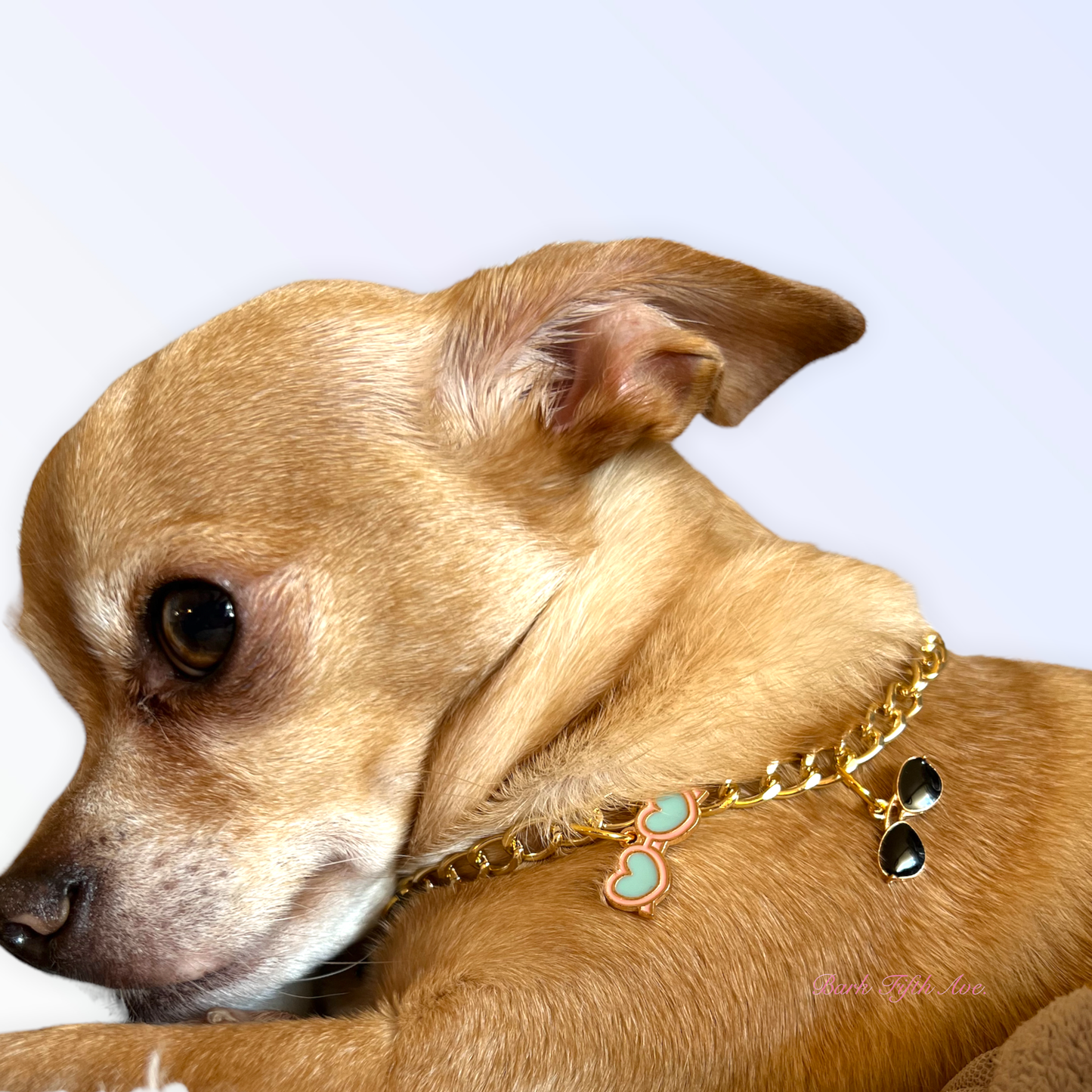 My Summertime Aviator Charm Dog Necklace