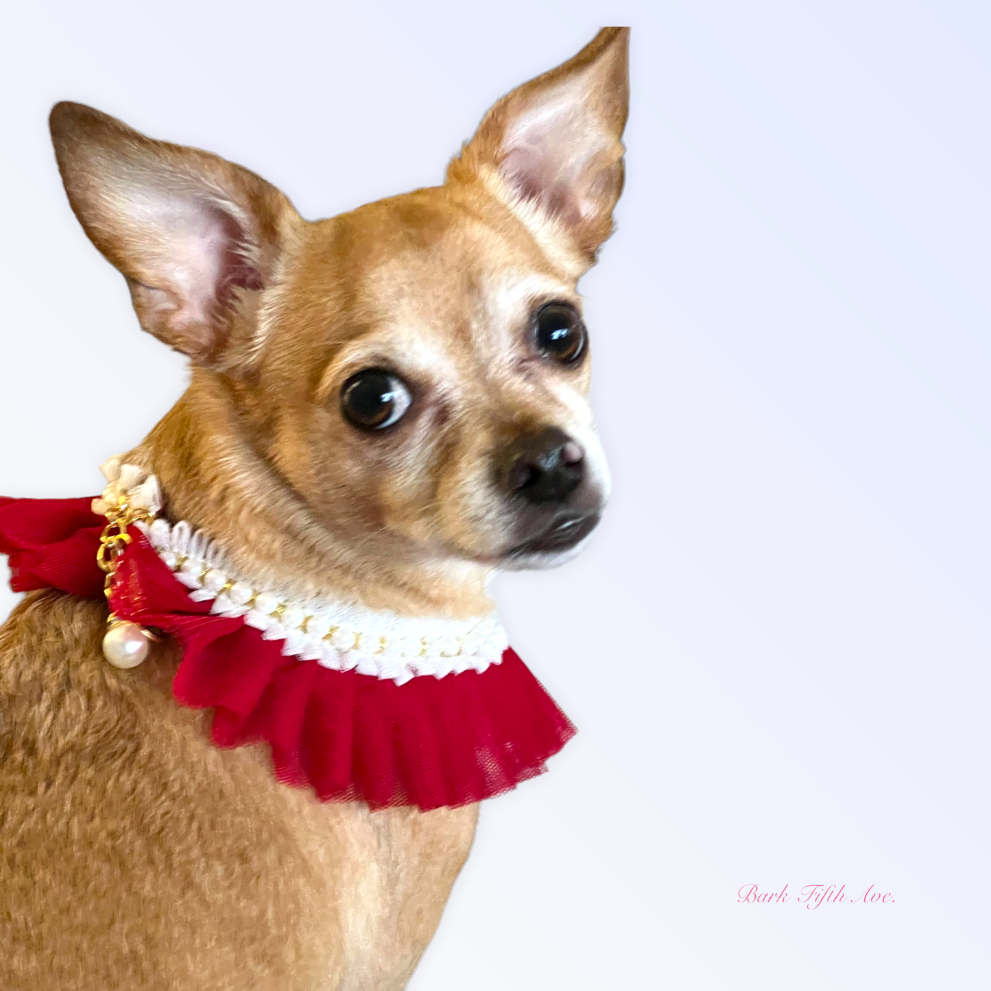 Pearl Neck Ruff for Dogs