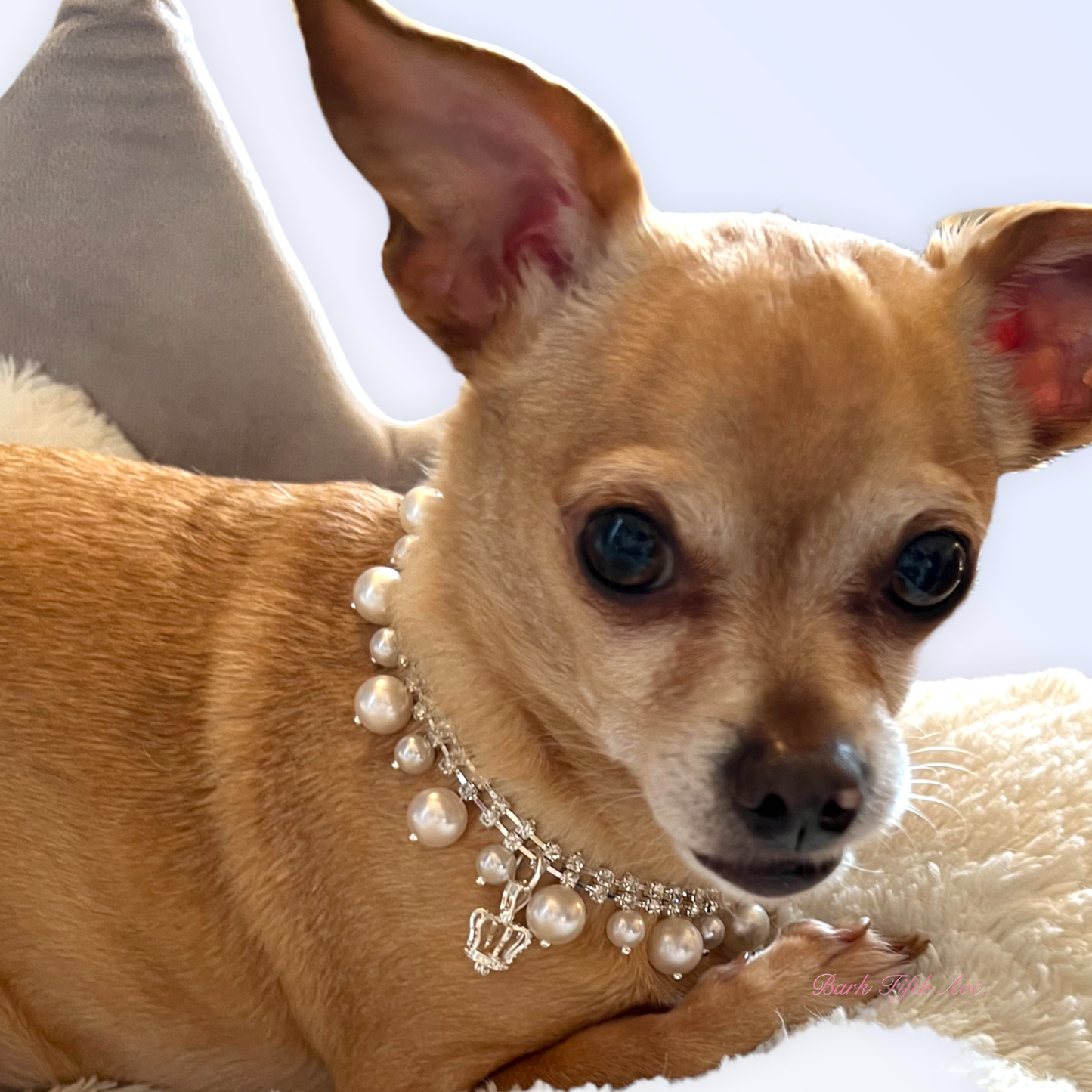Rhinestone and Pearl Crown Dog Necklace
