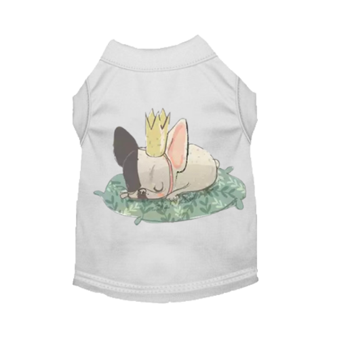 Sleepy Frenchie Dog Dress and Shirt