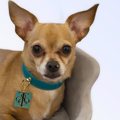 Sniff and Co. NYC Logo Dog Collar