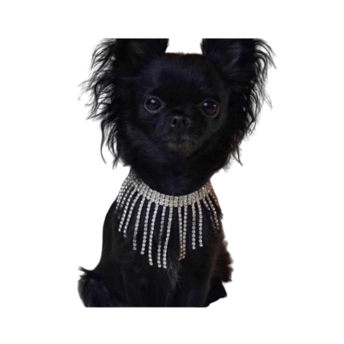 Sparkle Dog Necklace