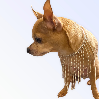 The Starlet Pearl Tassel Dog Collar
