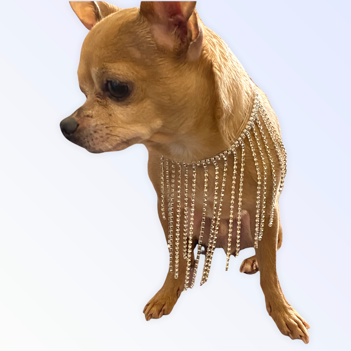The Starlet Pearl Tassel Dog Collar
