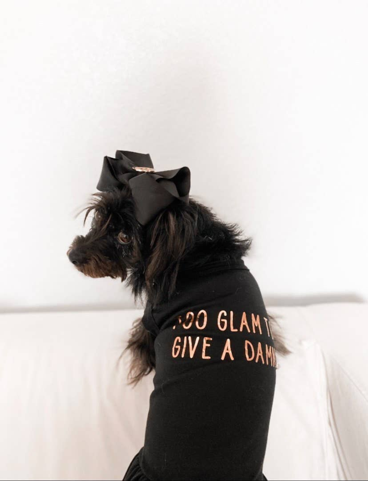 Too Glam to Give a Damn Dog Tee and Dress