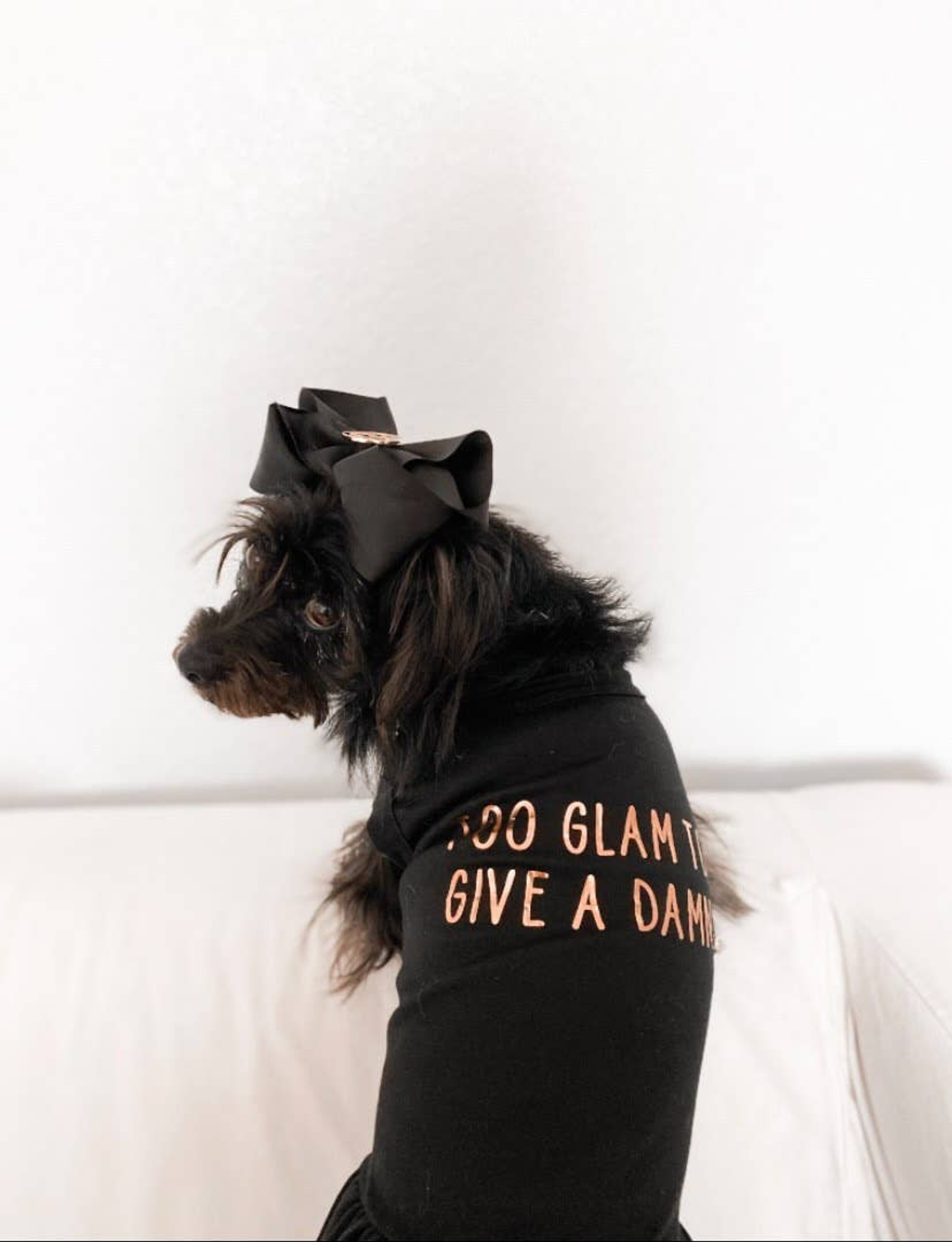 Too Glam to Give a Damn Dog Tee and Dress