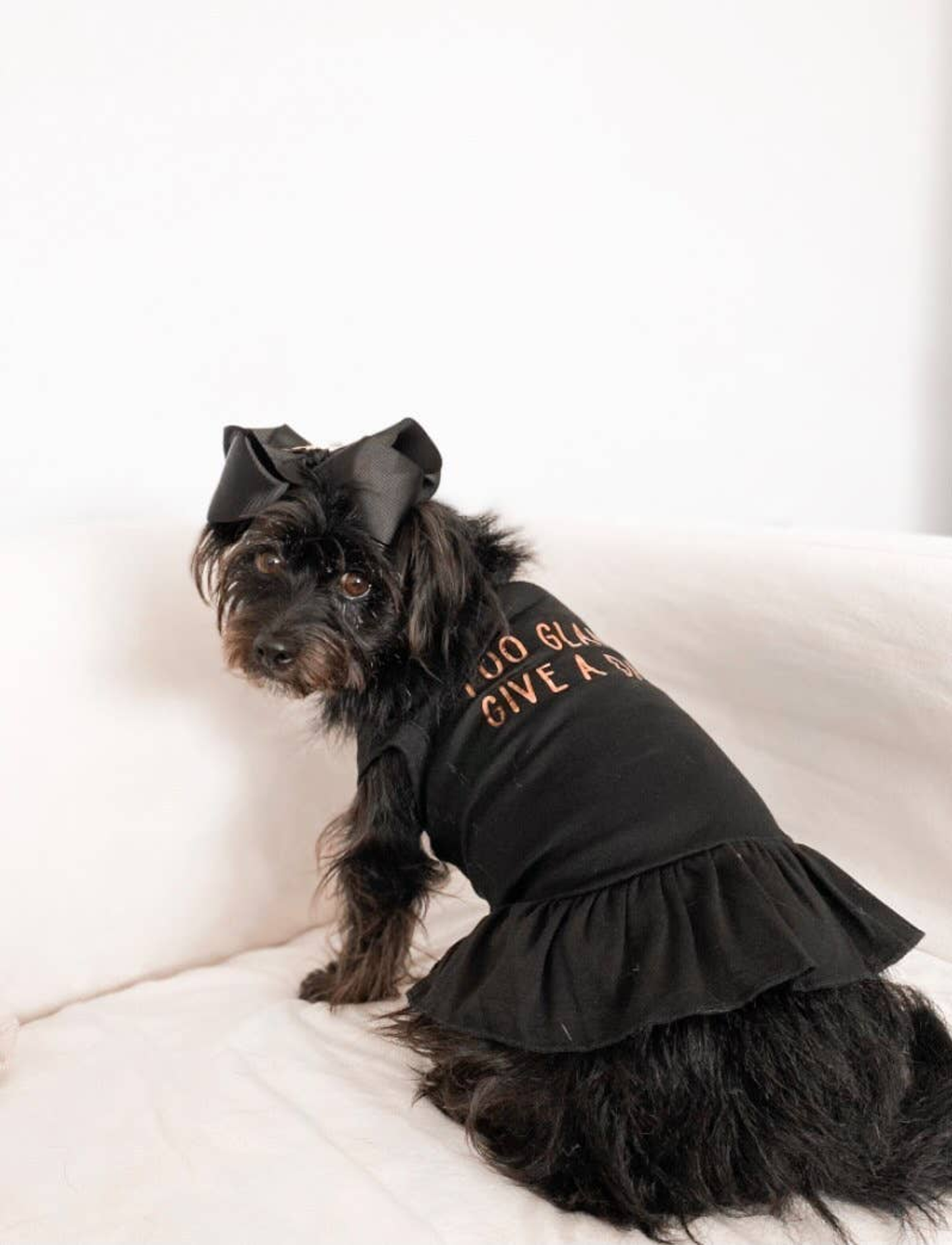 Too Glam to Give a Damn Dog Tee and Dress