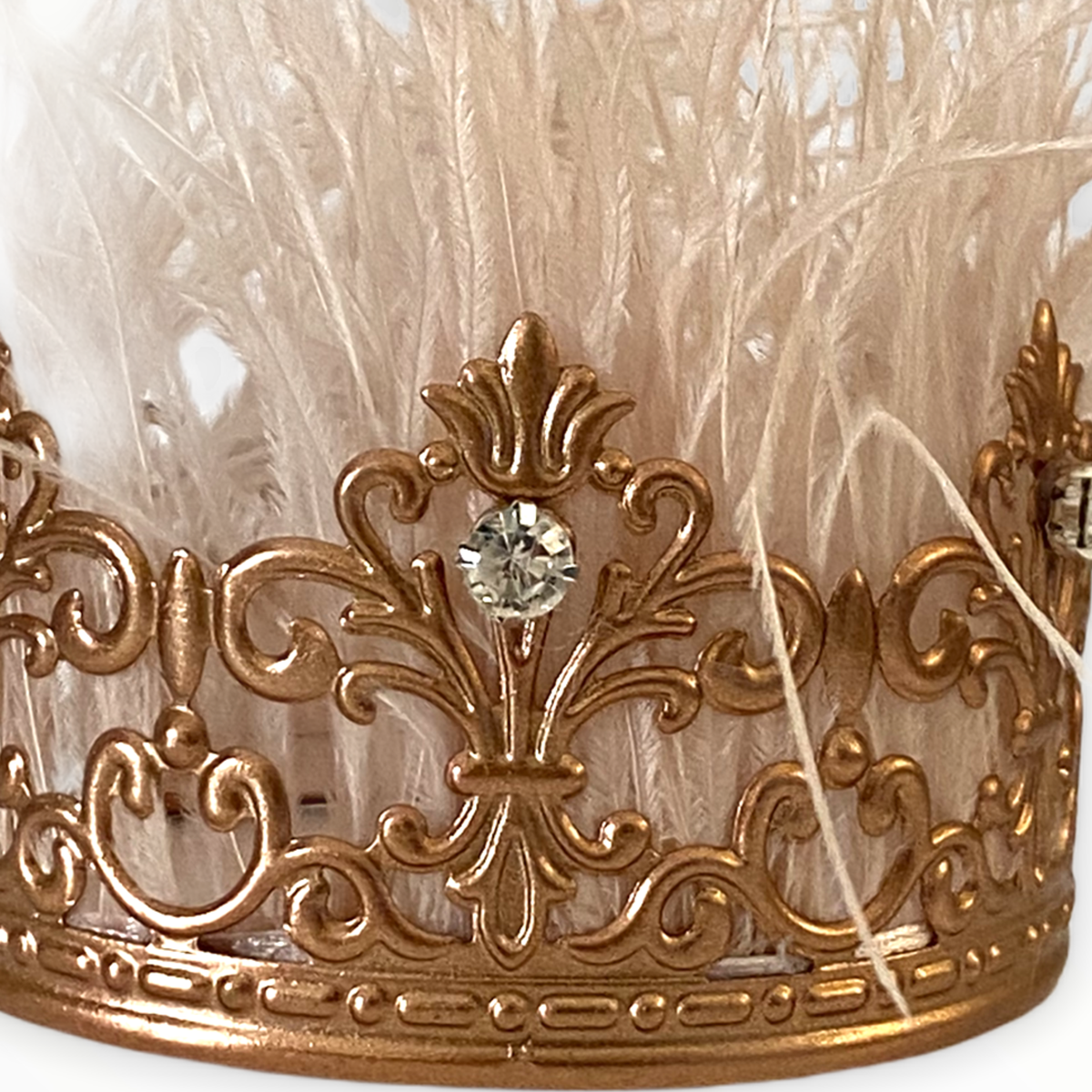 Zsa Zsa Glamour Girl Dog Crown