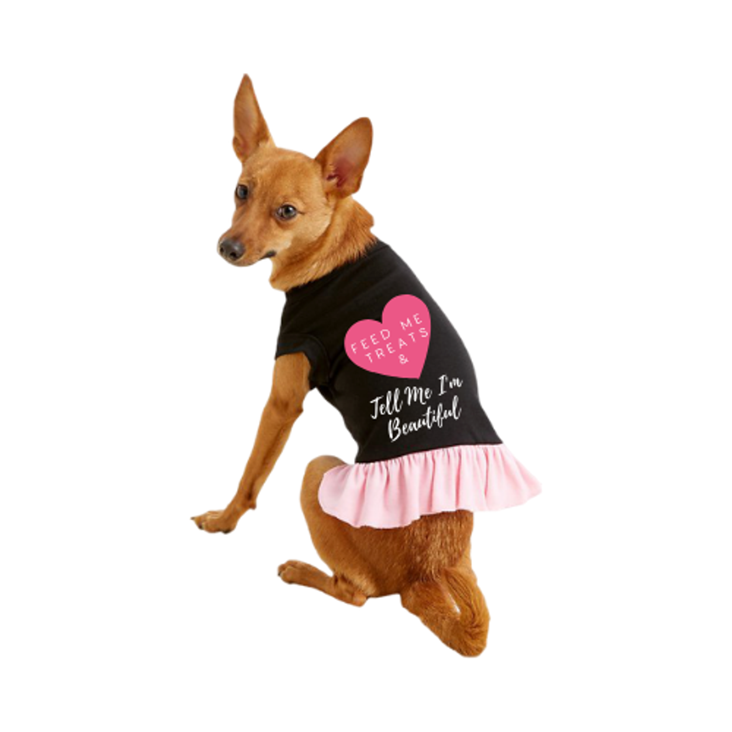 Feed Me Treats and Tell Me I'm Beautiful Dog Dress