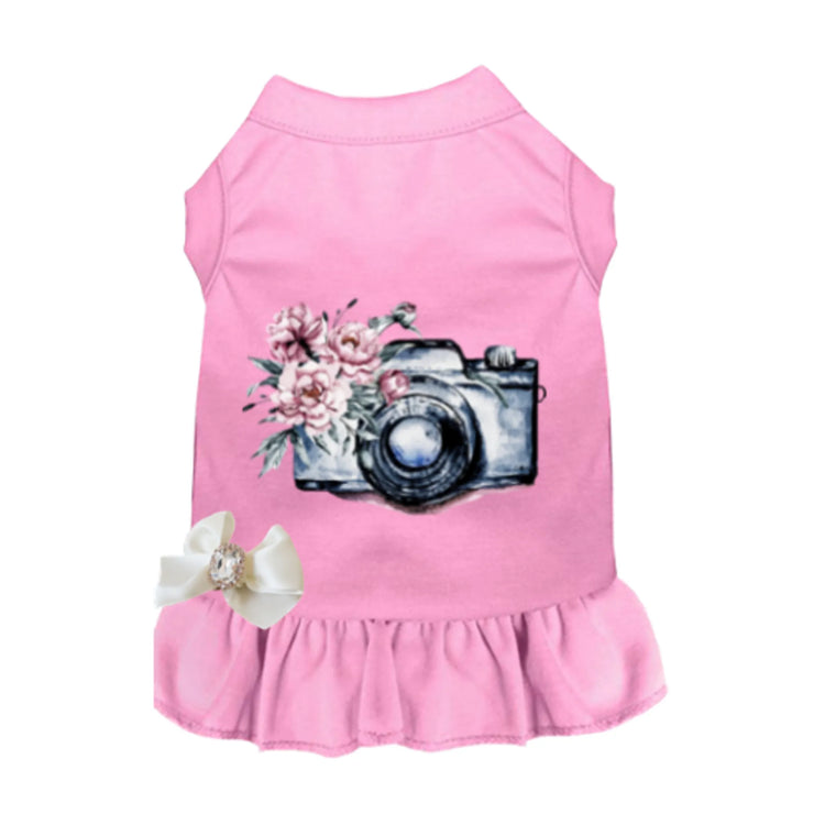 Call Me Pretty and Take Pictures of Me Dog Dress, worn on small dog