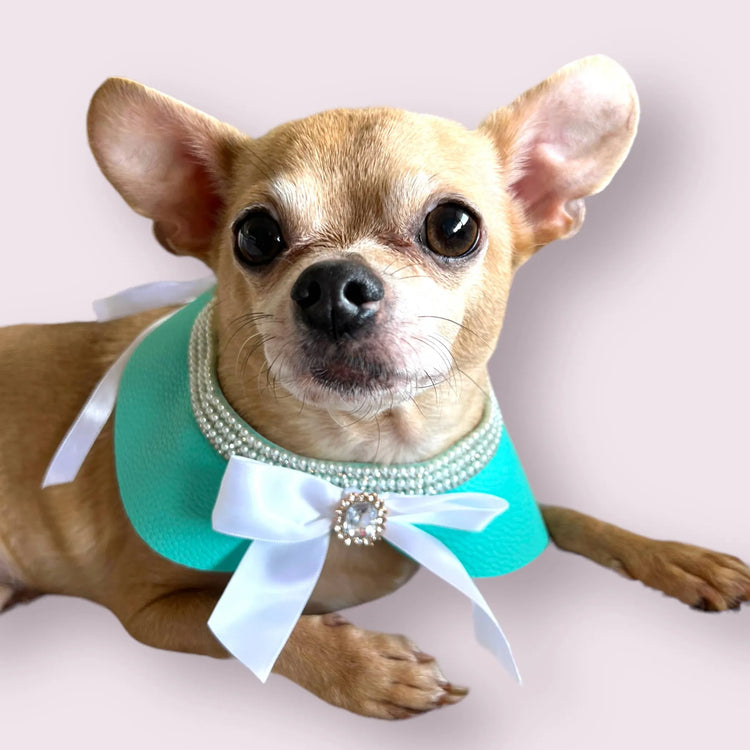 Blue Pearl Bow Dog Collar, front view